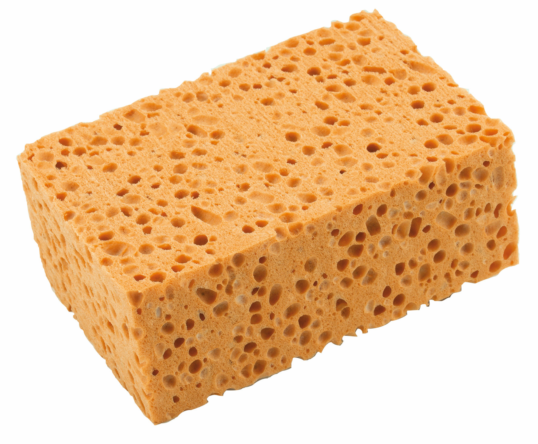 ÉPONGE VÉGÉTALE RENFORCÉE