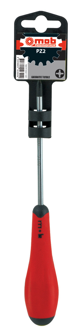 SCHRAUBENDREHER FÜR POZIDRIV-SCHRAUBEN, AUF BLISTER