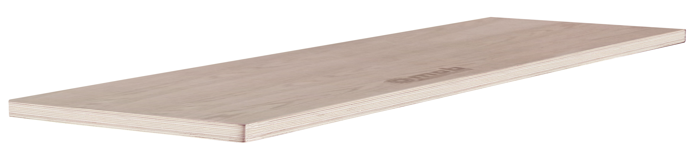 MULTIPLEXPLATTE FÜR WERKBANK